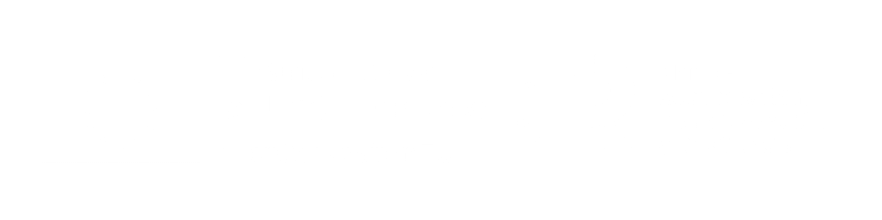 financiado por la union europea